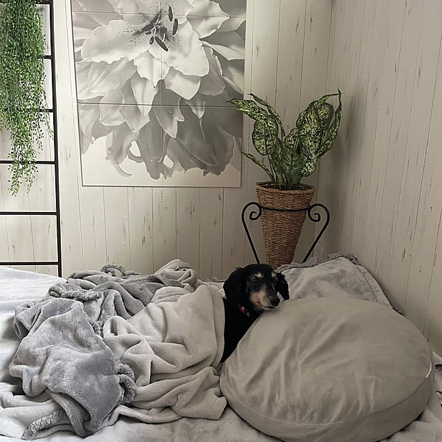 youmitsuさんの部屋