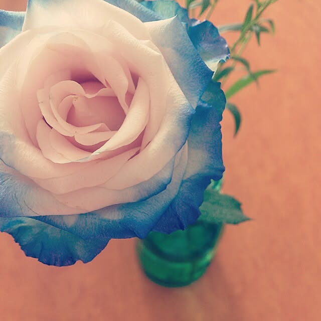romylomyさんの実例写真