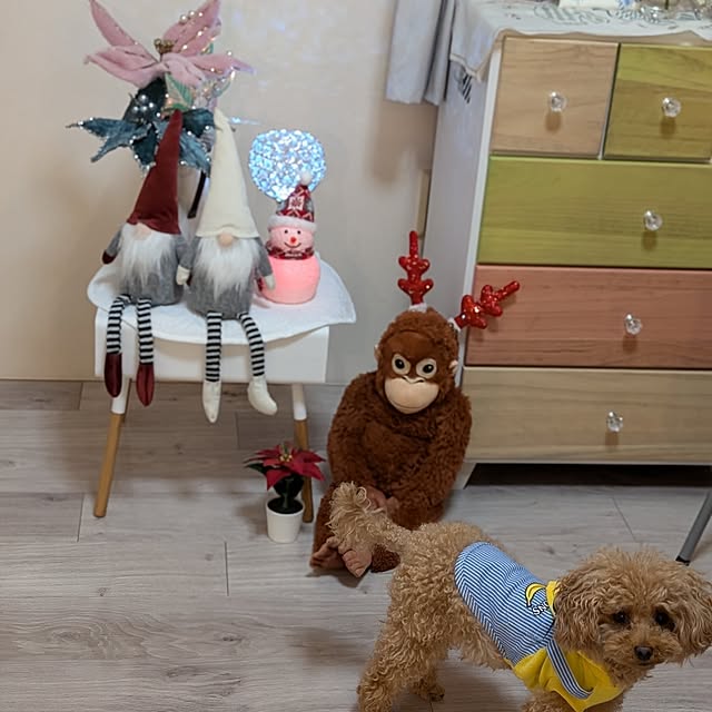 erisavesu4さんの部屋
