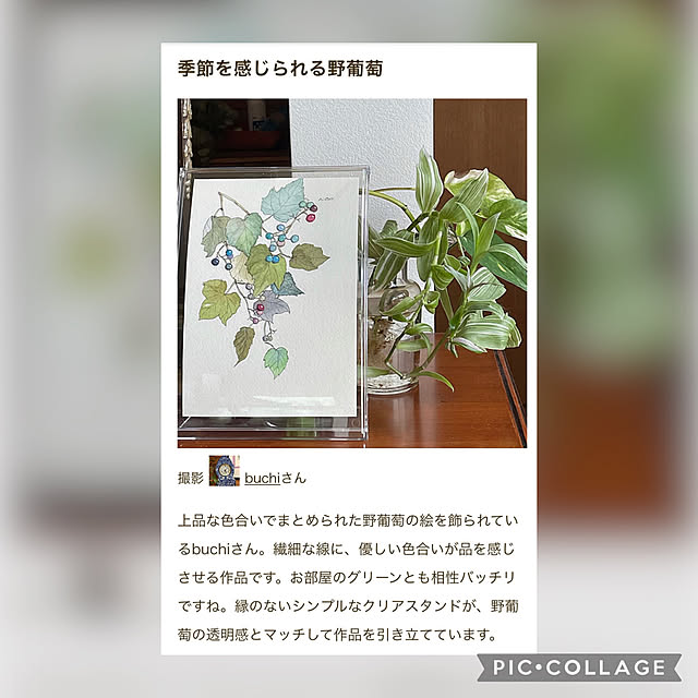 buchiさんの実例写真