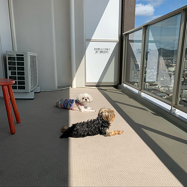 cherryさんの実例写真