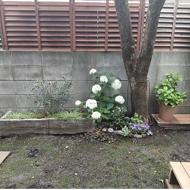 makiさんの部屋