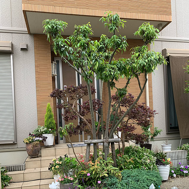 yukarin-gardenさんの実例写真