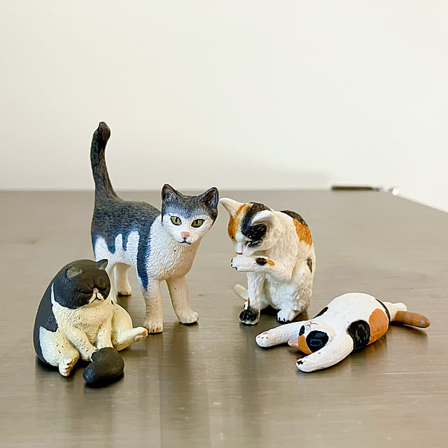 akanekoさんの実例写真
