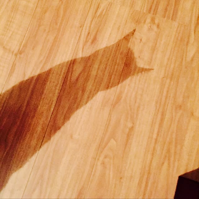 CHIEさんの実例写真