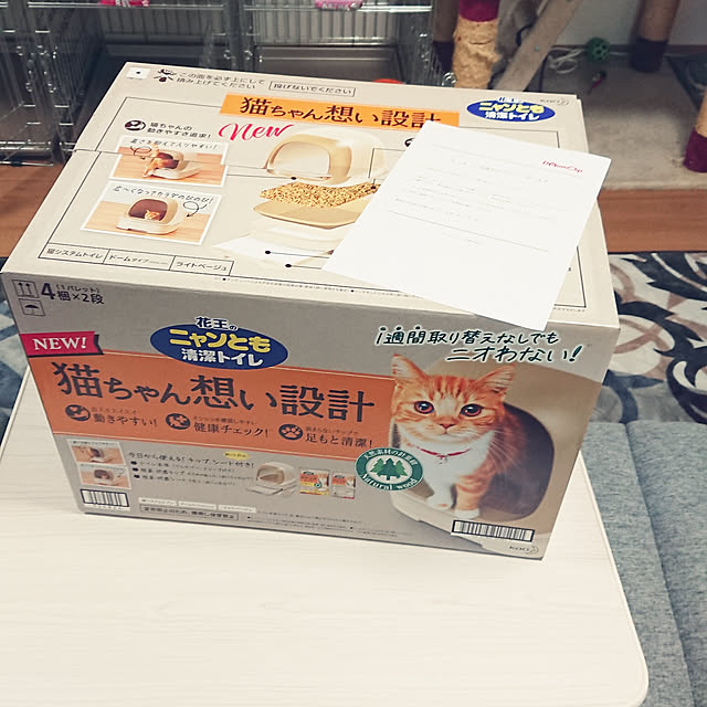 noguriさんの実例写真