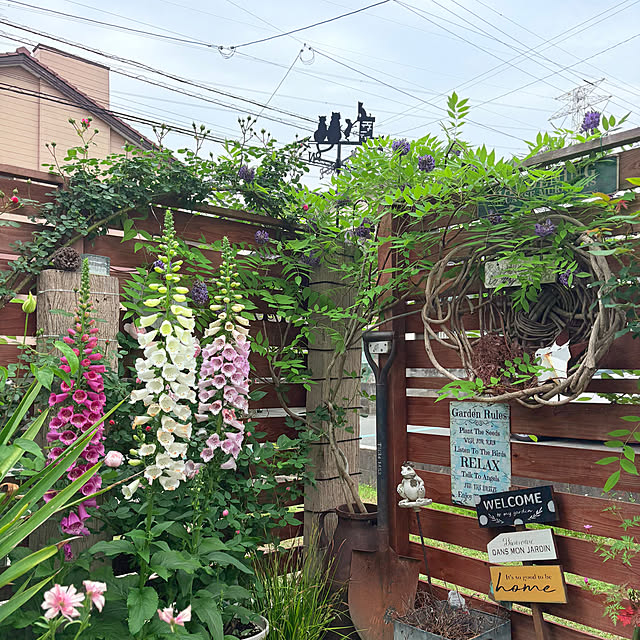 mayumiさんの実例写真