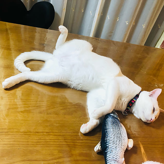 moyuhiさんの実例写真