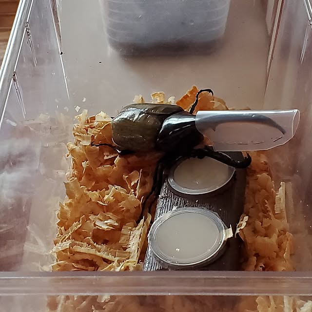 kumutanさんの部屋