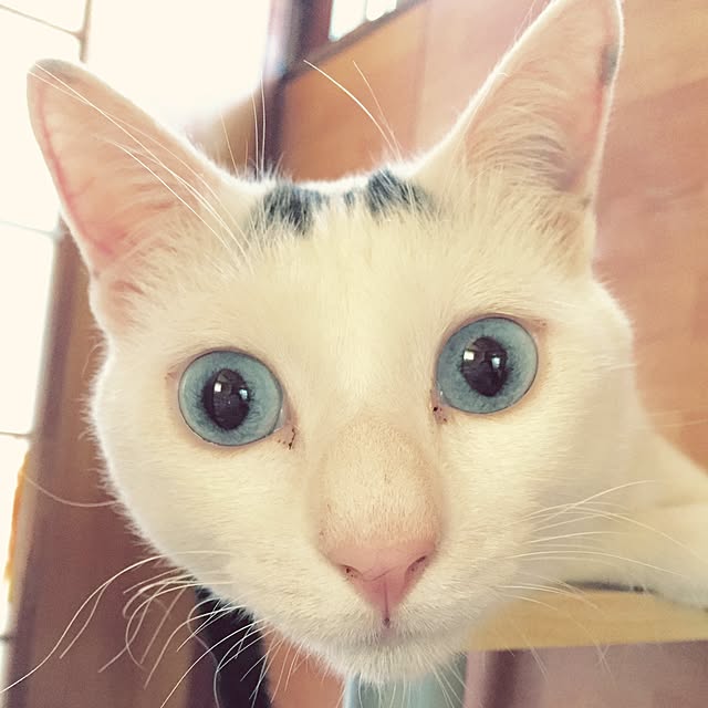 powderさんの実例写真