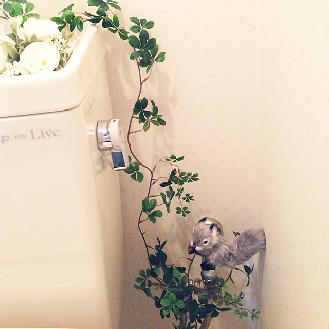 Yoriさんの実例写真