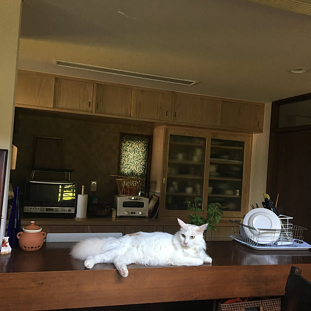 shigimiさんの実例写真