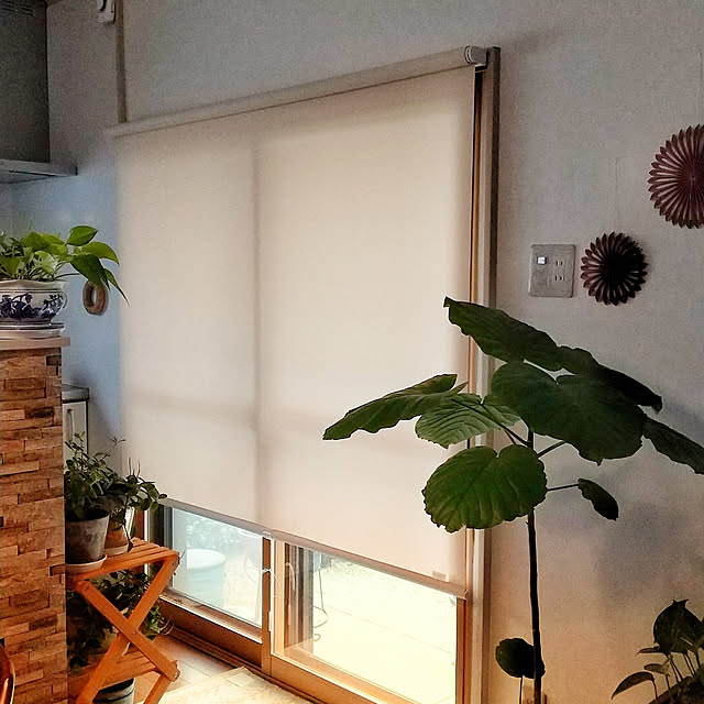 Renさんの実例写真