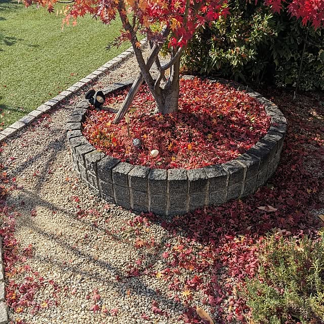 chiz3さんの部屋