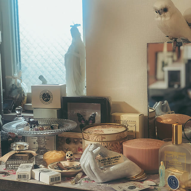 jellyfish.backboneさんの実例写真