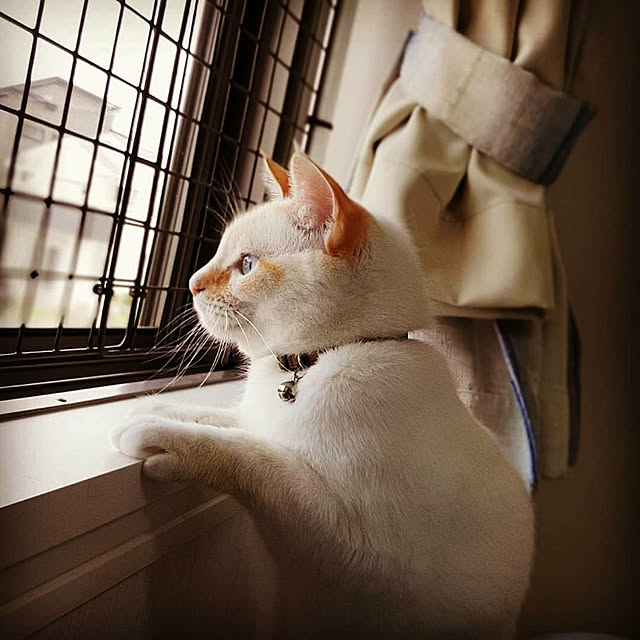 maru_hiro709さんの実例写真