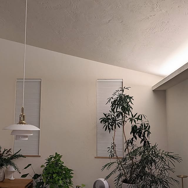 nolleyさんの部屋