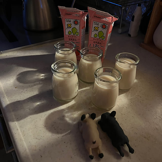 chi_gogaさんの実例写真