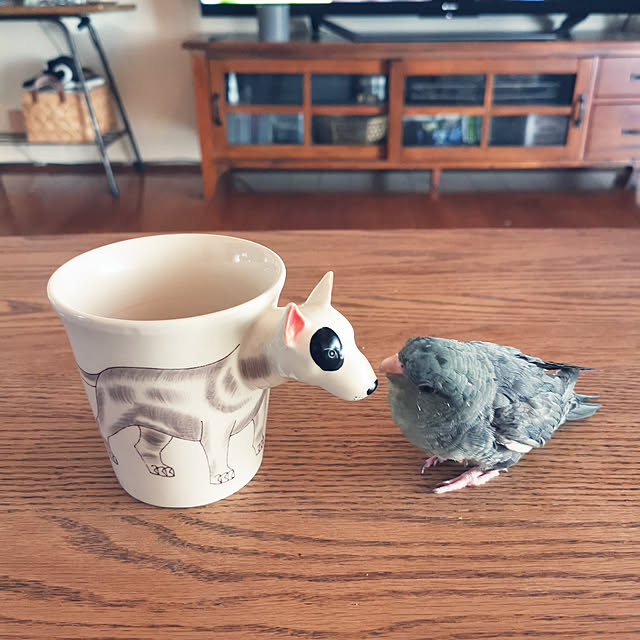 moz.qさんの実例写真