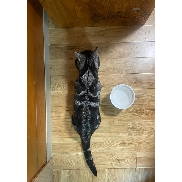 yumiさんの実例写真