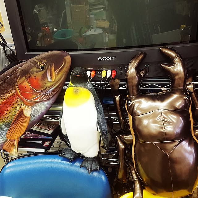 okanさんの実例写真