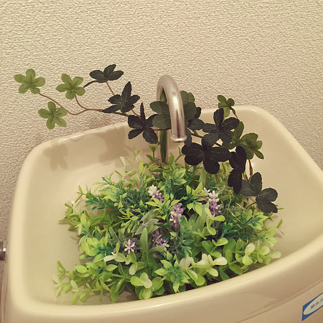 RanRanさんの実例写真