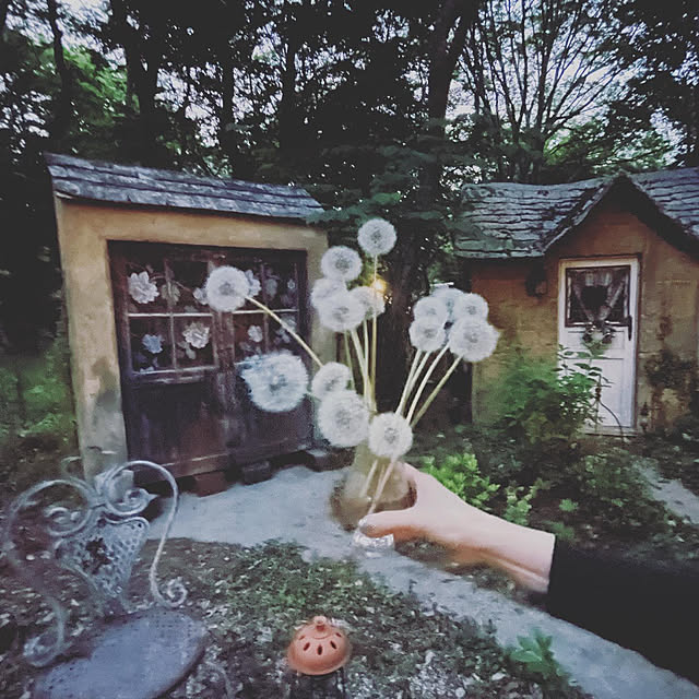 Satoshiさんの実例写真