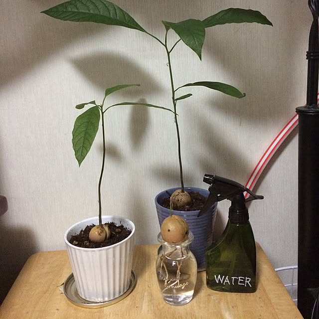 3s0xt1gerl1lyさんの実例写真