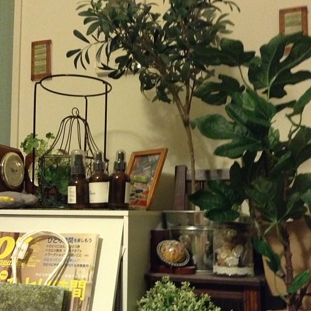 Hayakawaさんの実例写真