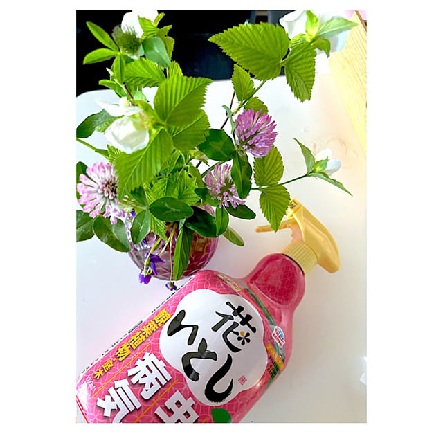 syutmmさんの実例写真