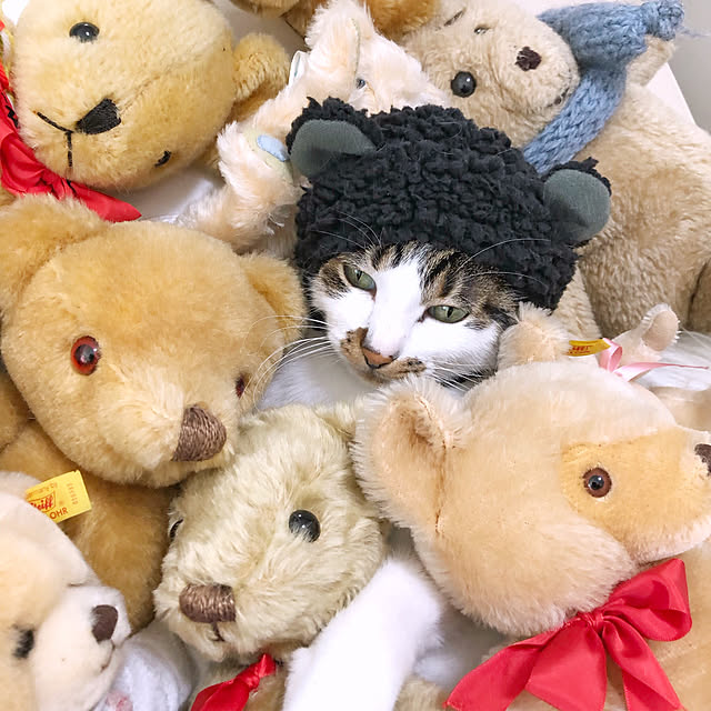 yuchiさんの実例写真