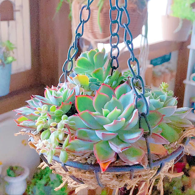 Hanakaさんの実例写真