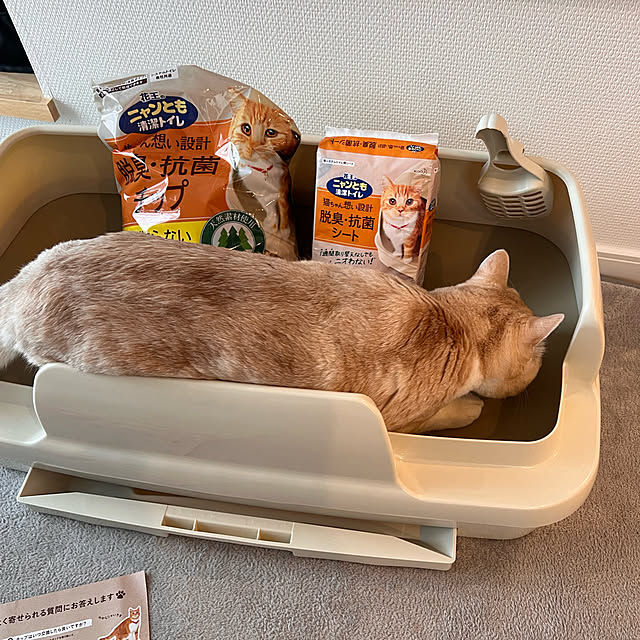 sanaさんの実例写真