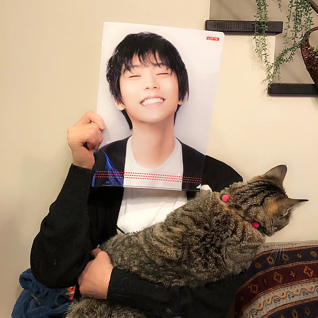 shigimiさんの実例写真