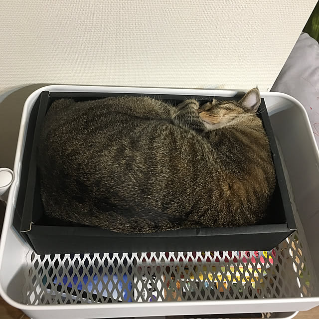 mikomaruさんの実例写真