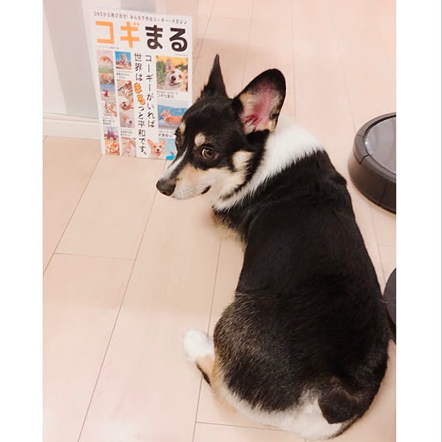 Ruiさんの実例写真