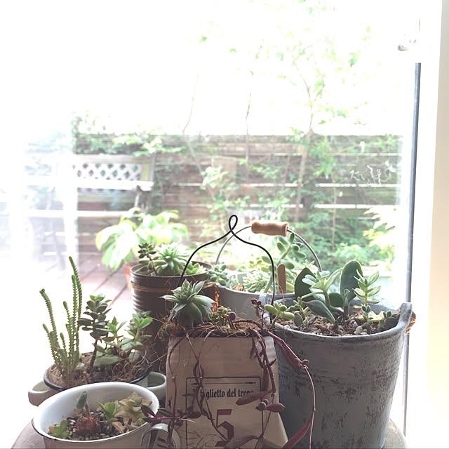 miraclepinkさんの実例写真