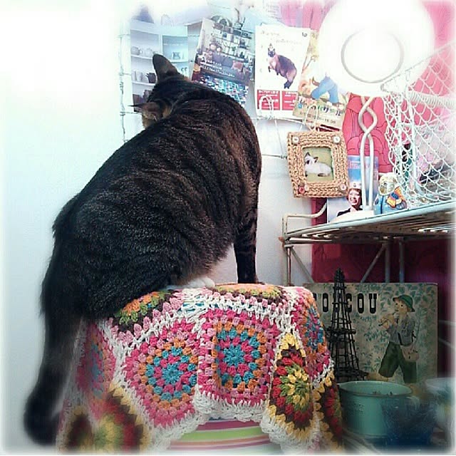 Motchanさんの実例写真