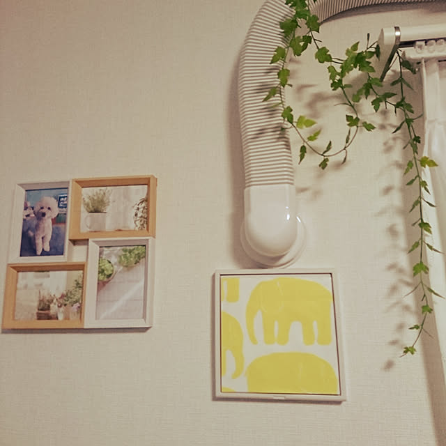 smile-positive1224さんの実例写真