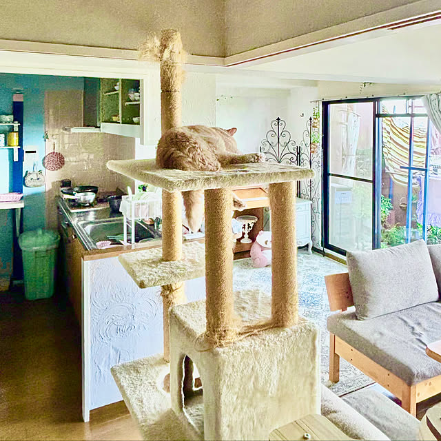 実例写真