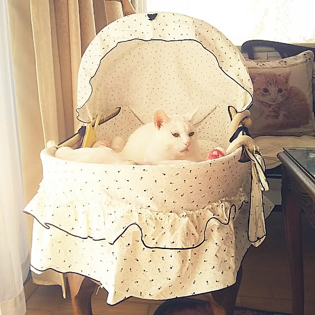 sakuraさんの実例写真