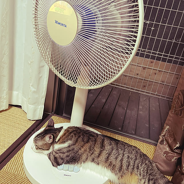 nacchi4さんの実例写真
