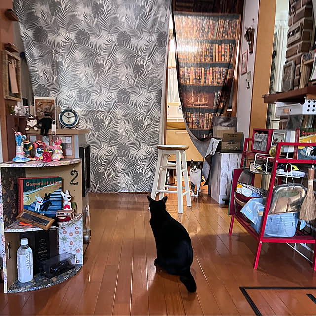 jijiさんの実例写真