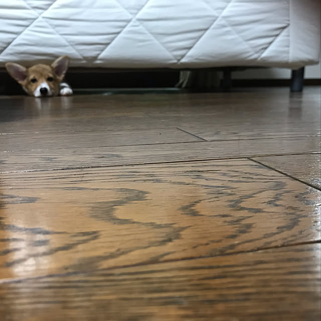 Aikoさんの実例写真