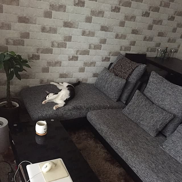 chemmyさんの実例写真