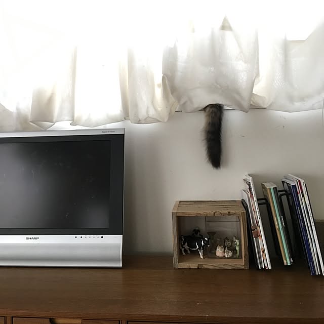 mikomaruさんの実例写真