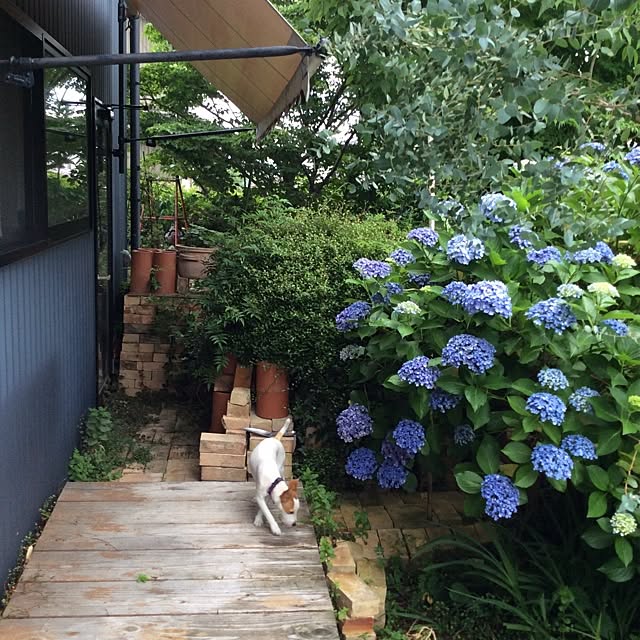 20rose_mamiさんの実例写真