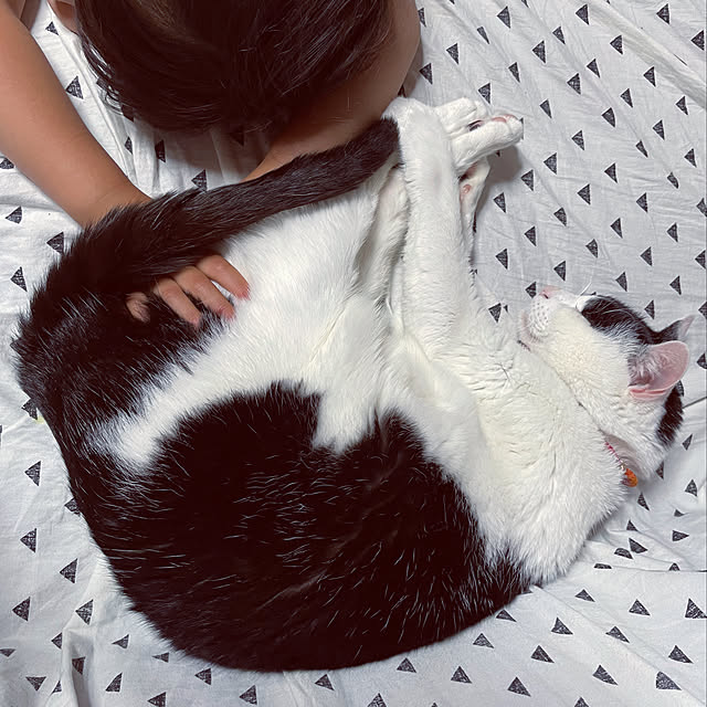 nekosamaさんの実例写真