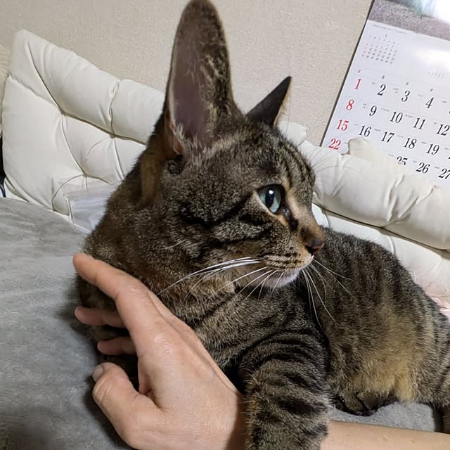 mori_6_12さんの実例写真