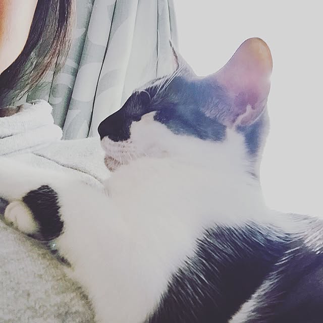 minkokoさんの実例写真